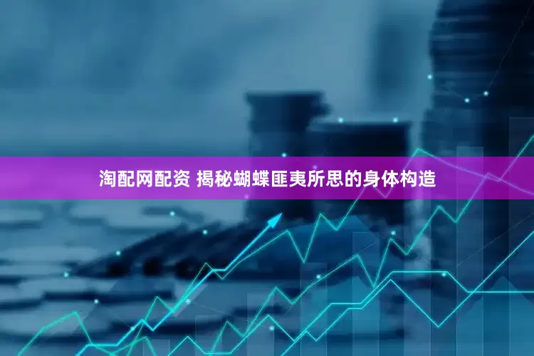 淘配网配资 揭秘蝴蝶匪夷所思的身体构造