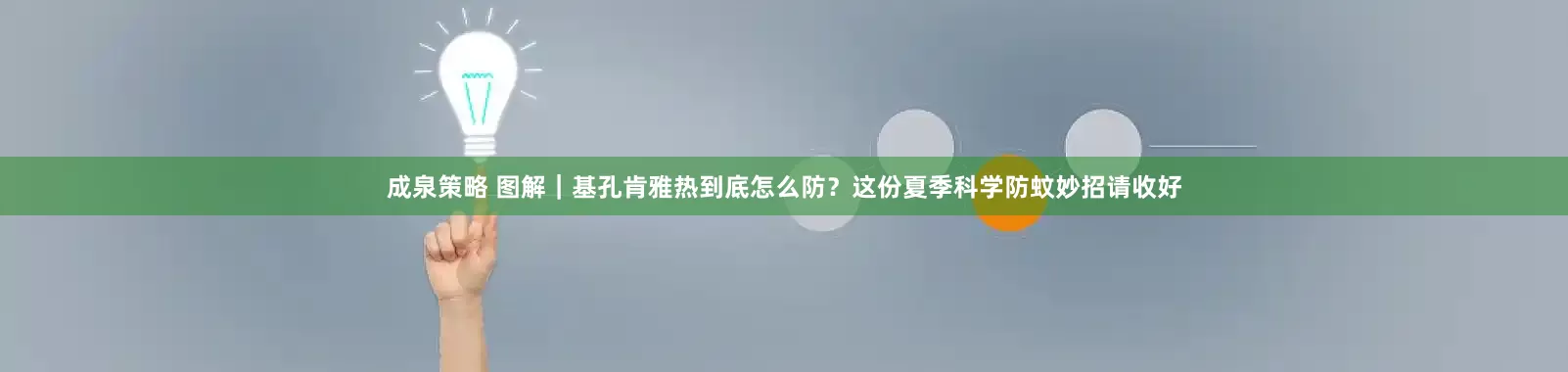 成泉策略 图解｜基孔肯雅热到底怎么防？这份夏季科学防蚊妙招请收好